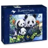 Bluebird Puzzle Familia panda de 1000 piezas 70079