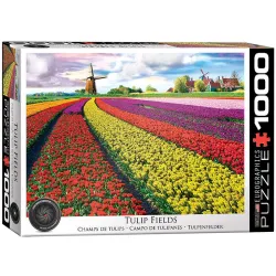Puzzle Eurographics 1000 piezas Campo de tulipanes, Holanda 6000-5326