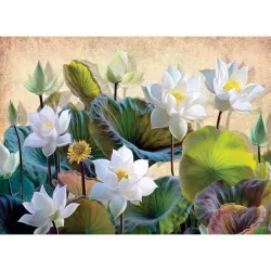 Puzzle Nova Flores de loto blanco de 1000 piezas 41119