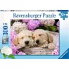 Ravensburger puzzle 300 piezas XXL Cachorros tiernos en la cesta 132355