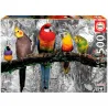 Educa puzzle 500 Coloured B&W. Pájaron en la jungla 17984