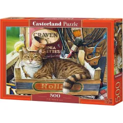 Puzzle Castorland Fothergill, Gato en la caja de 500 piezas B-53476