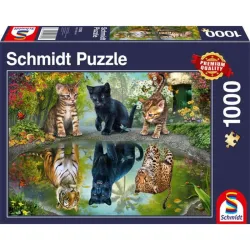 Puzzle Schmidt ¡Sueña en grande! de 1000 piezas 57392