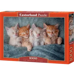 Comprar Puzzle Castorland Los gatitos más dulces 1000 piezas C-105144